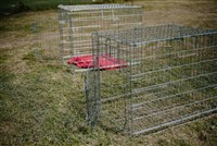 Clean YOYO wire crate ready for delivery